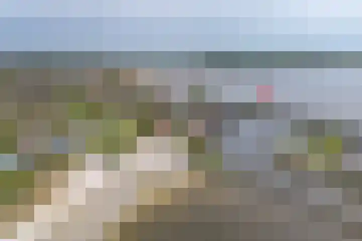 De Dijk 15 Makkum thumbnail 48