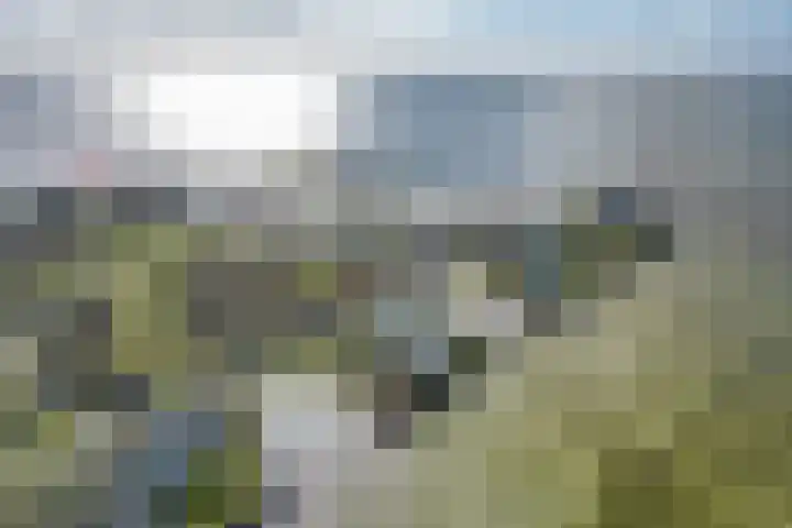 De Dijk 15 Makkum thumbnail 49
