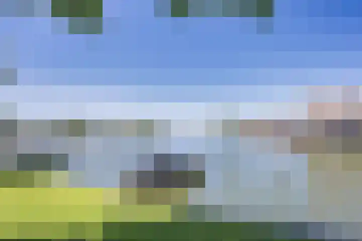 De Dijk 15 Makkum thumbnail 5