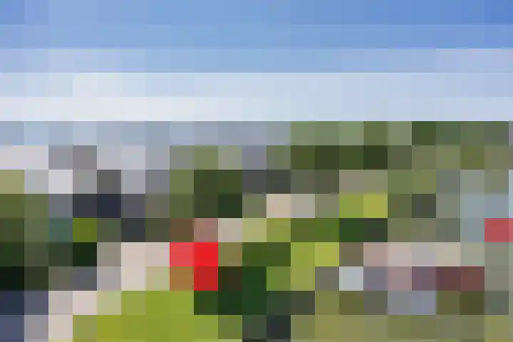 De Dijk 15 Makkum thumbnail 59