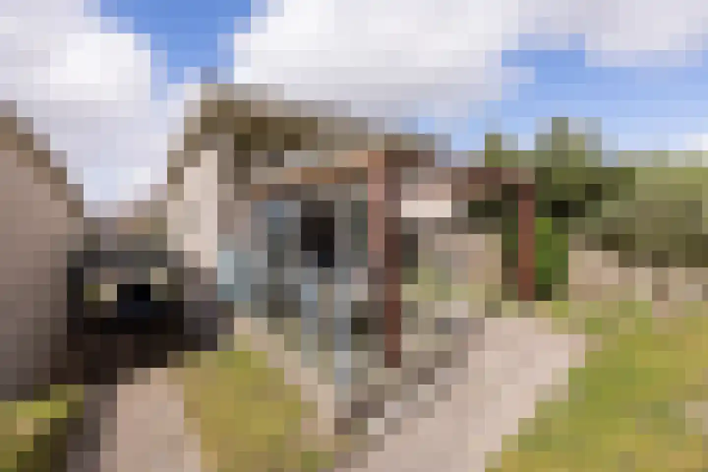 De Dijk 17 Makkum thumbnail 29