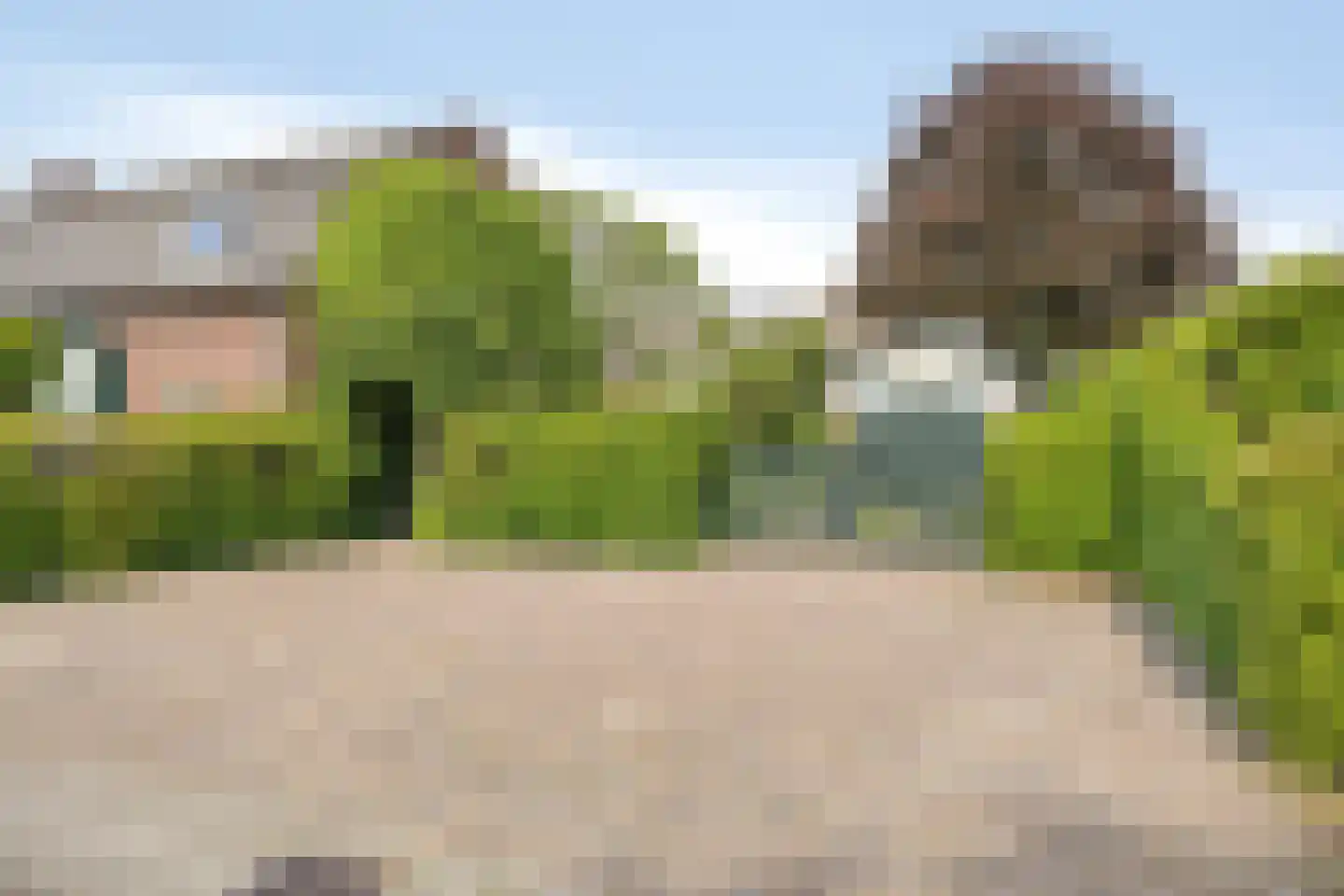 De Dijk 19 Gastel thumbnail 46