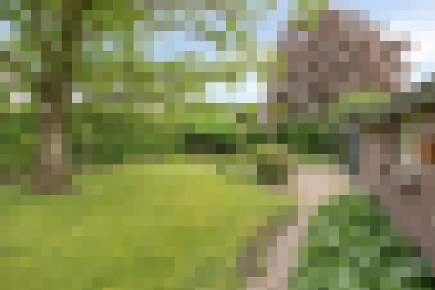 De Dijk 19 Gastel thumbnail 51