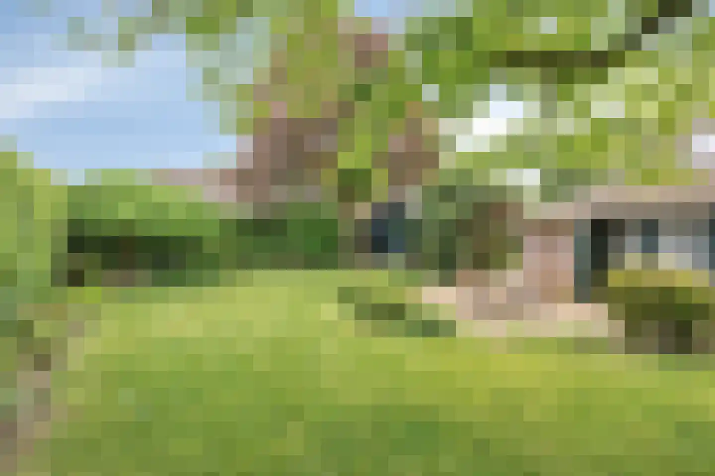 De Dijk 19 Gastel thumbnail 53