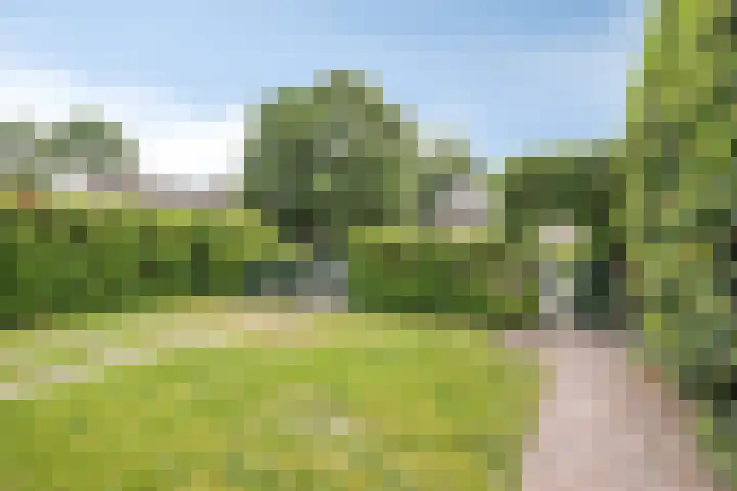 De Dijk 19 Gastel thumbnail 55