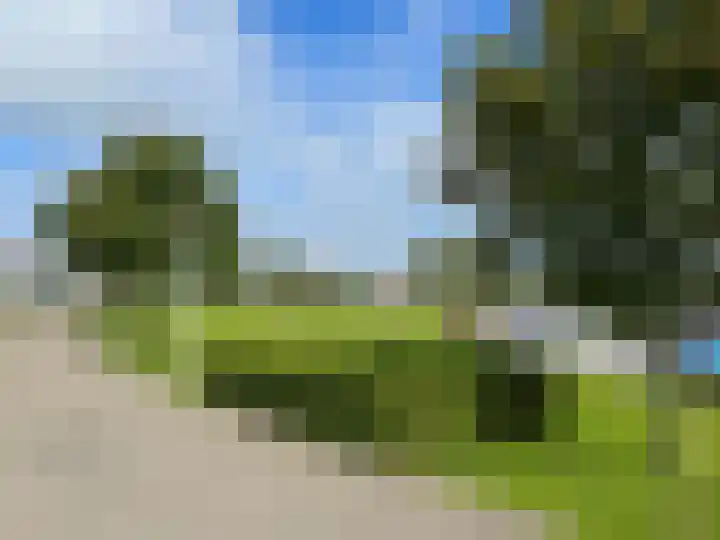 De Dijk 39 Makkum thumbnail 6