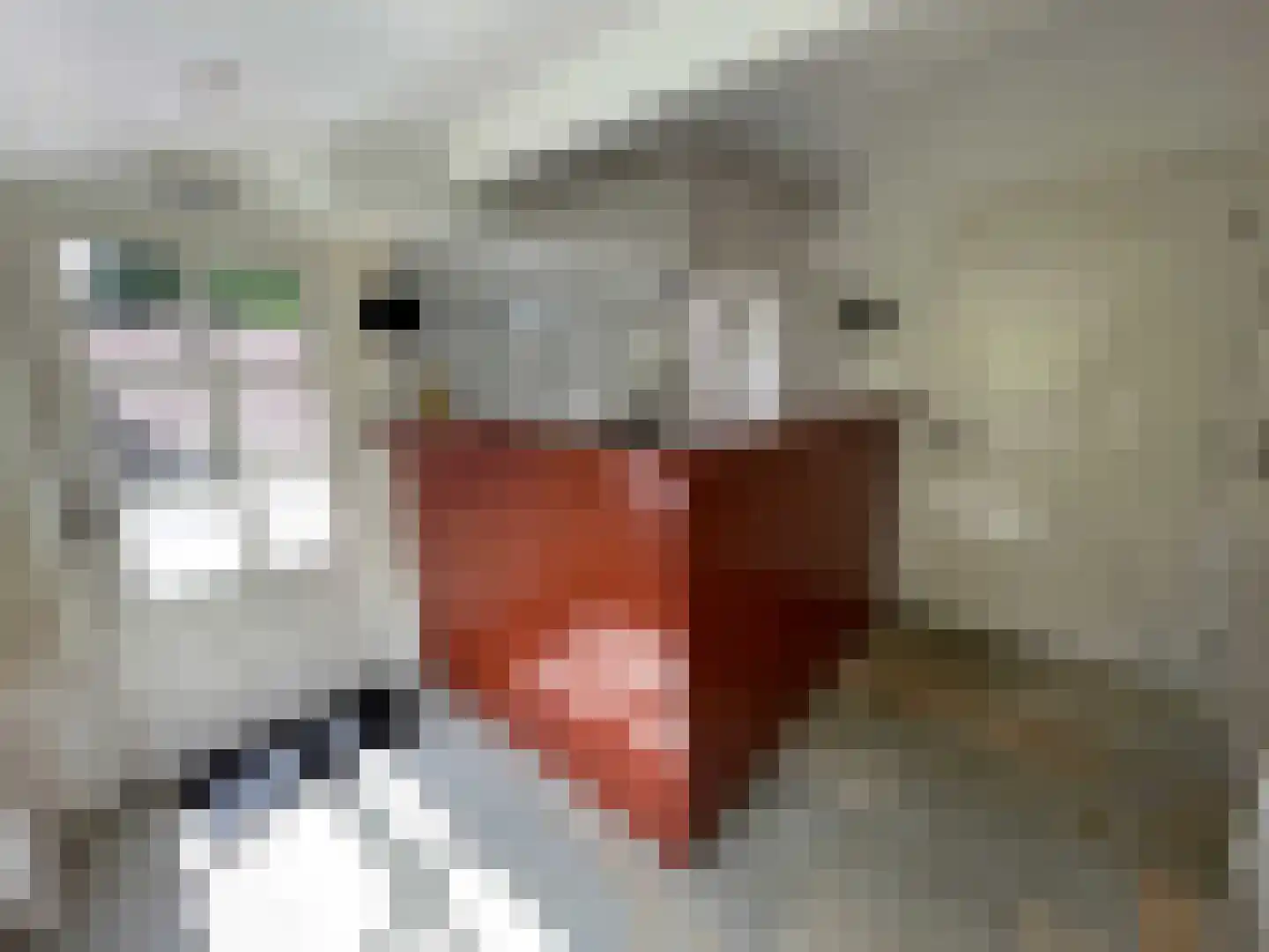De Dijk 8 Gastel thumbnail 22