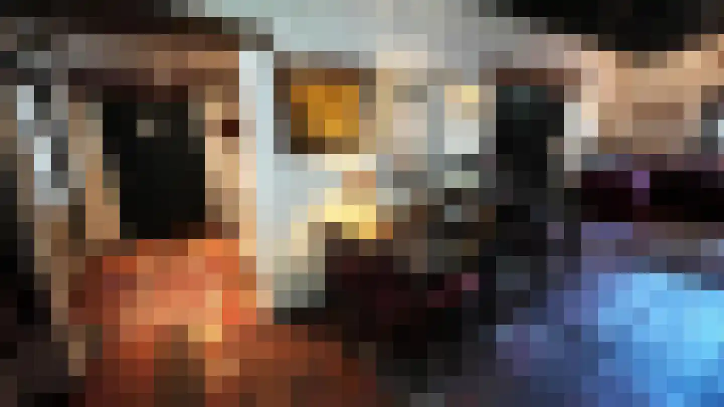 De Dijk 8 Gastel thumbnail 23