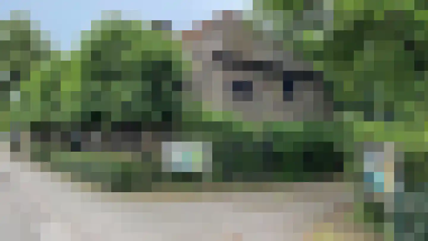 De Dijk 8 Gastel thumbnail 30