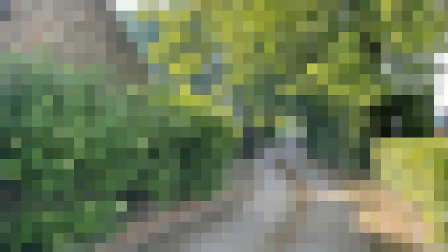 De Dijk 8 Gastel thumbnail 32