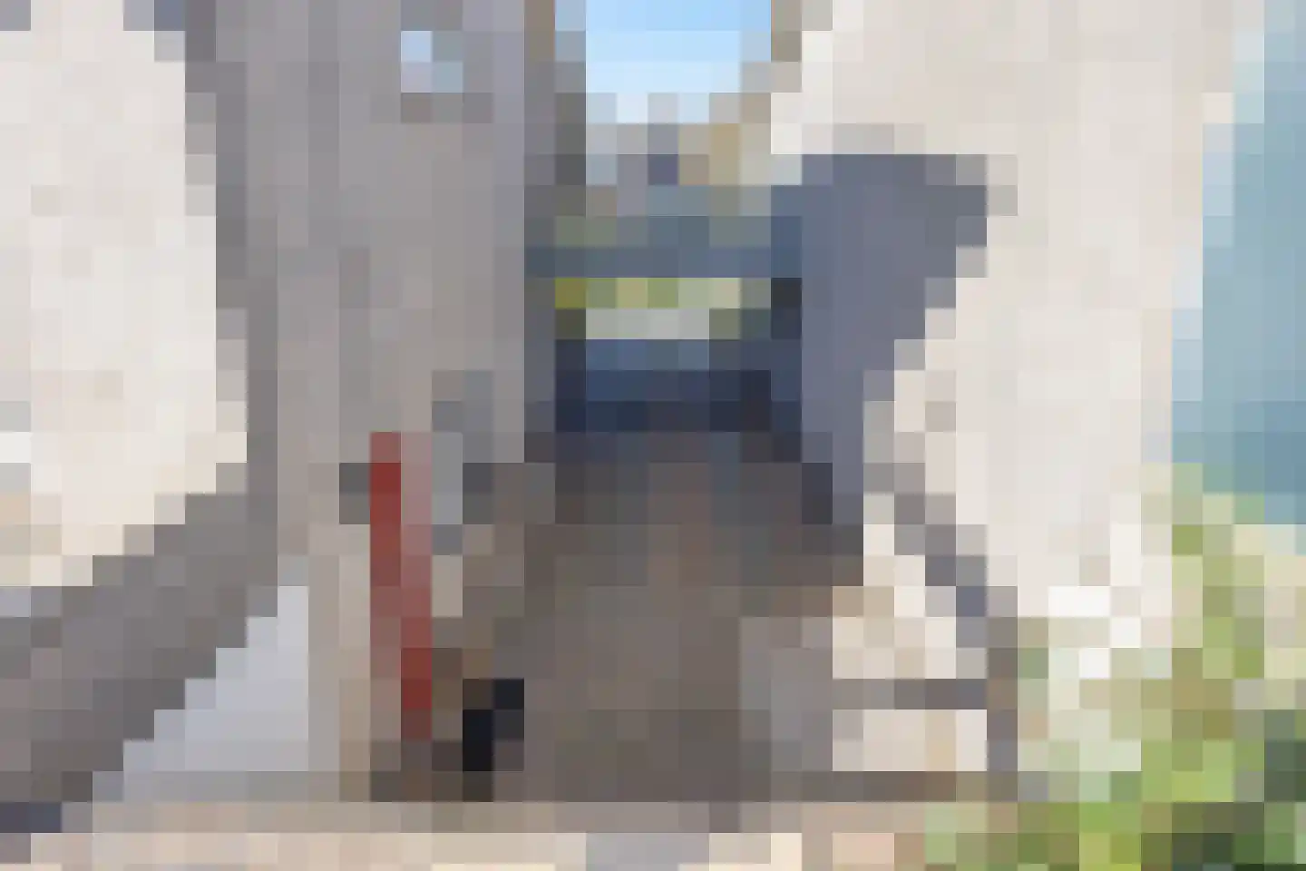 De Dijk 9 Makkum thumbnail 42