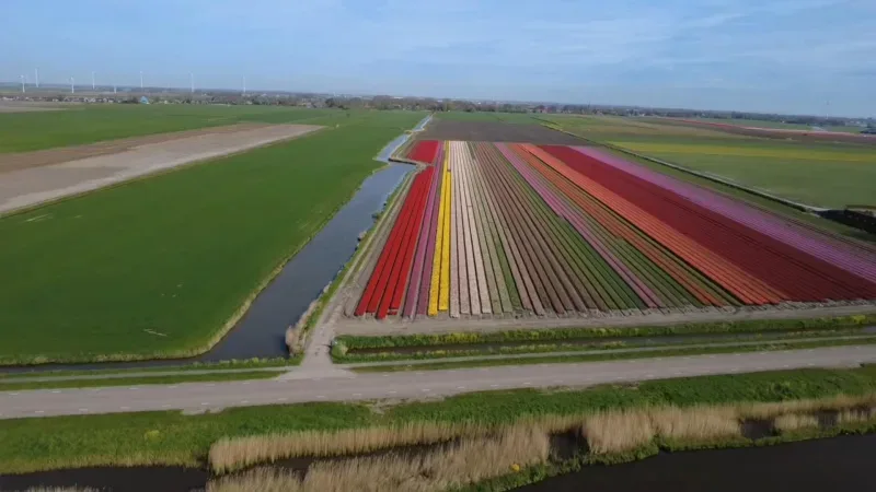 Kantoor foto van De Dijken Agrarisch makelaardij