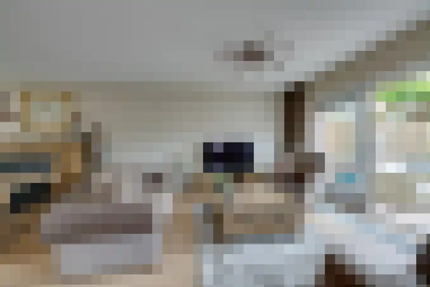 De Dijkkavel 30 Volendam thumbnail 11