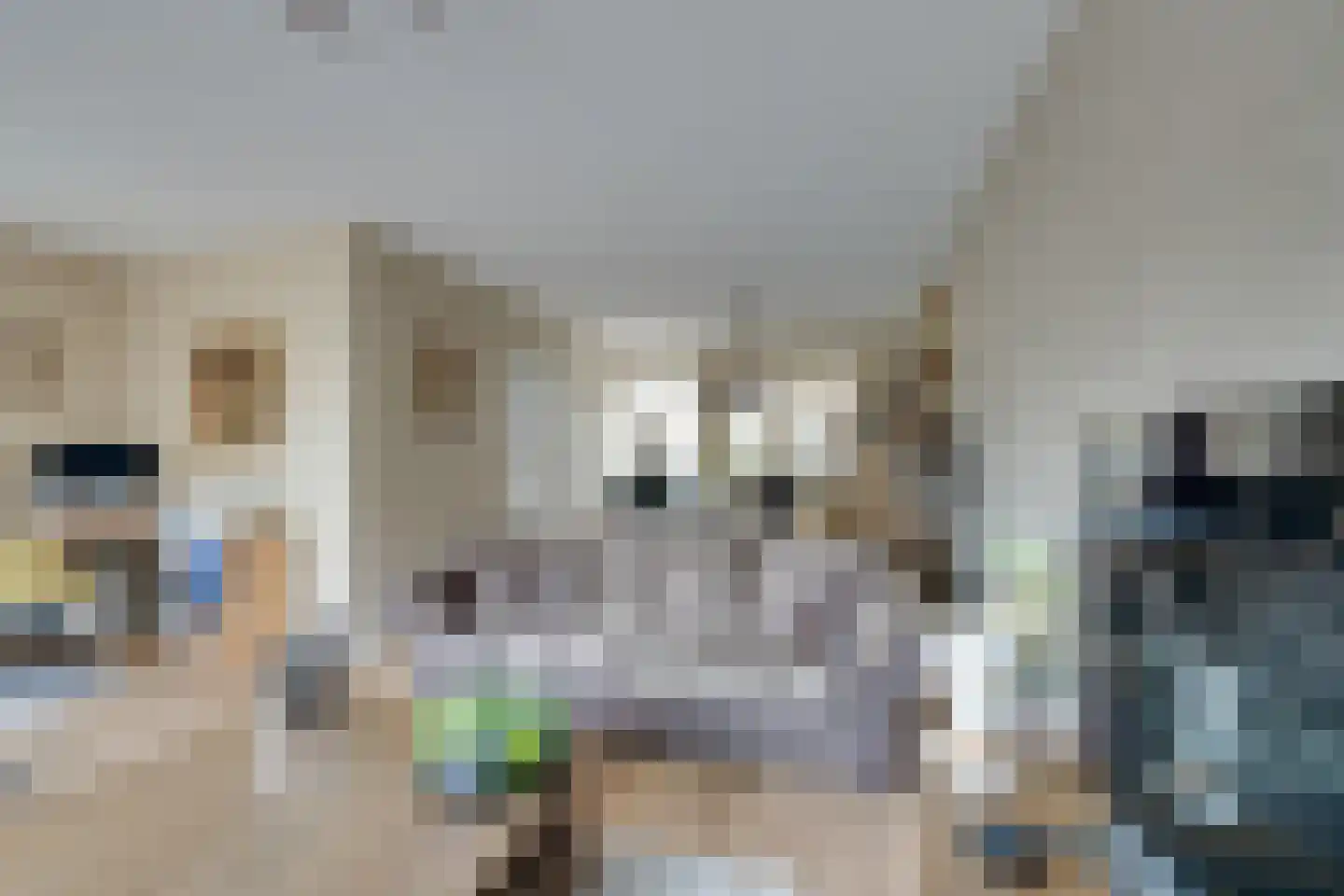 De Dijkkavel 30 Volendam thumbnail 12