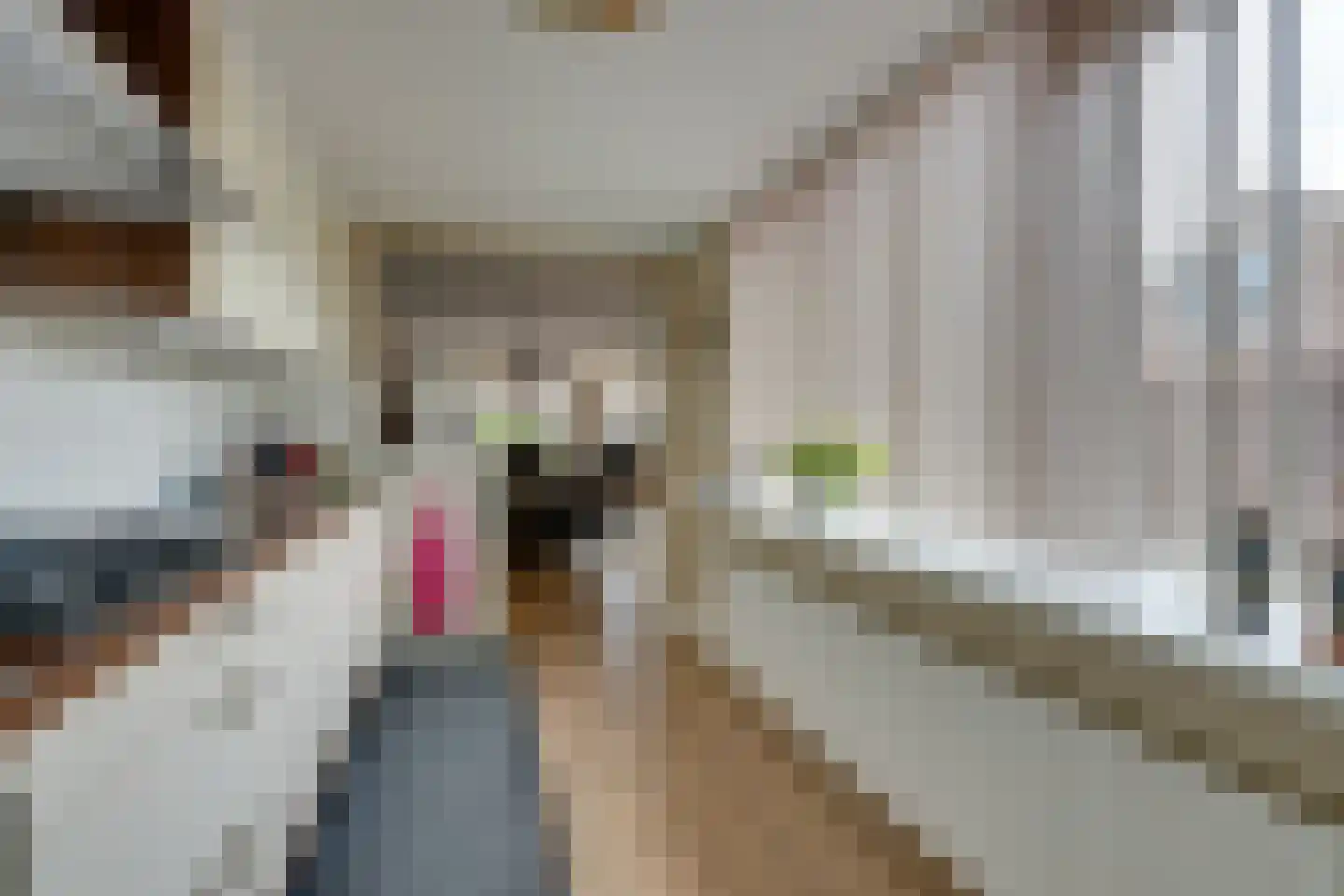 De Dijkkavel 30 Volendam thumbnail 19