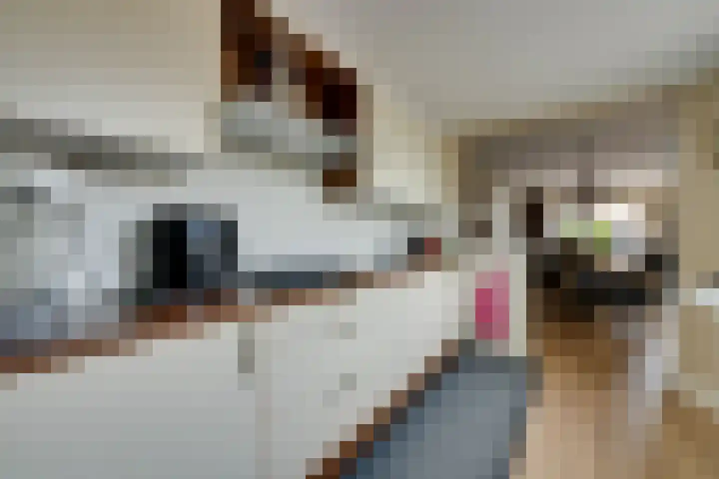 De Dijkkavel 30 Volendam thumbnail 20