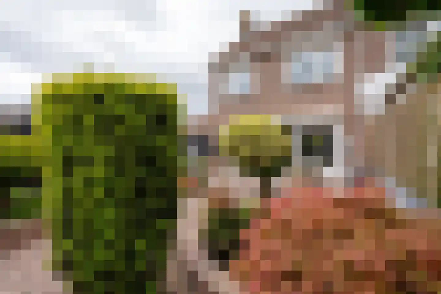 De Dijkkavel 30 Volendam thumbnail 24