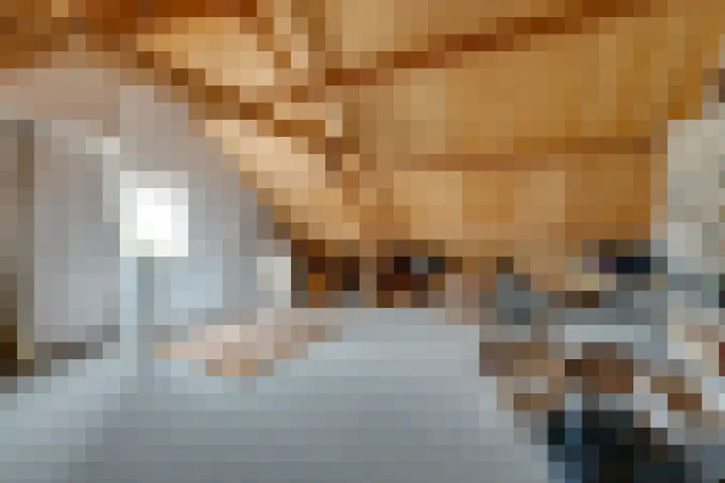 De Dijkkavel 30 Volendam thumbnail 39