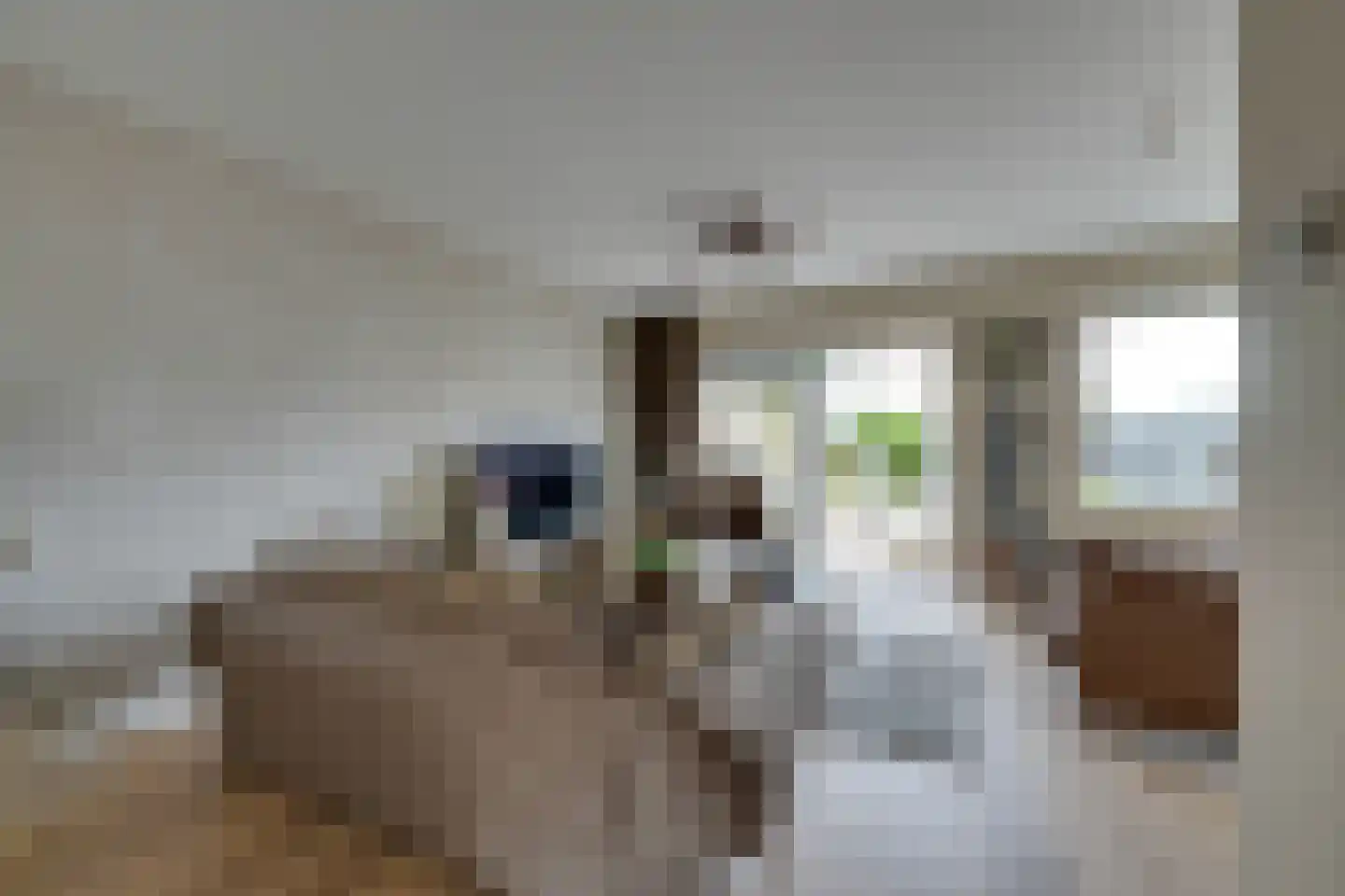 De Dijkkavel 30 Volendam thumbnail 8
