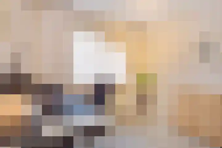 De Dijkkavel 4 Volendam thumbnail 20