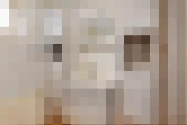 De Dijkkavel 4 Volendam thumbnail 23