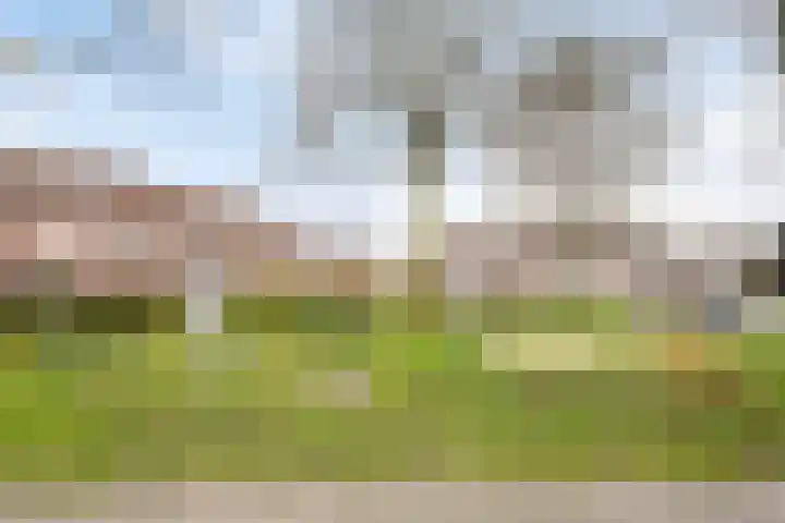 De Dijkkavel 4 Volendam thumbnail 37