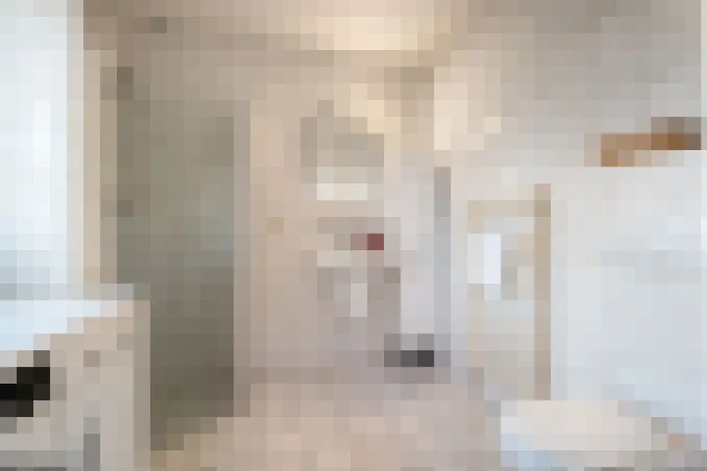 De Dijnsel 49 Albergen thumbnail 14