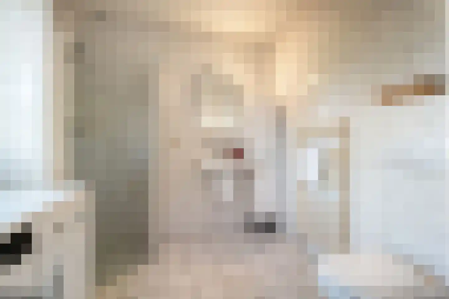 De Dijnsel 49 Albergen thumbnail 14