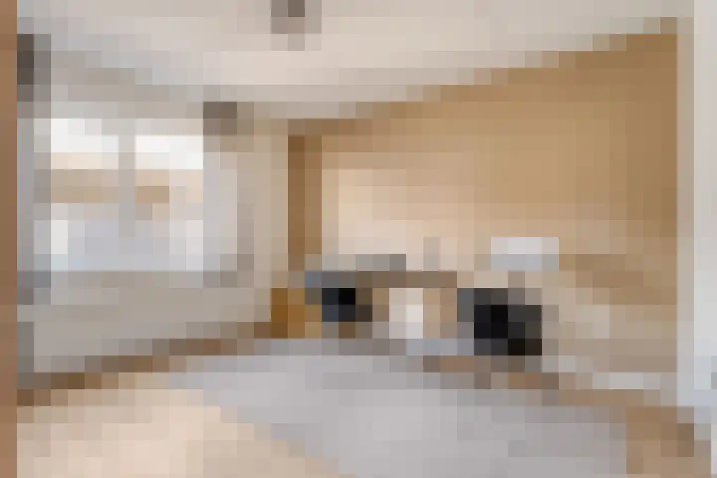 De Dijnsel 49 Albergen thumbnail 15