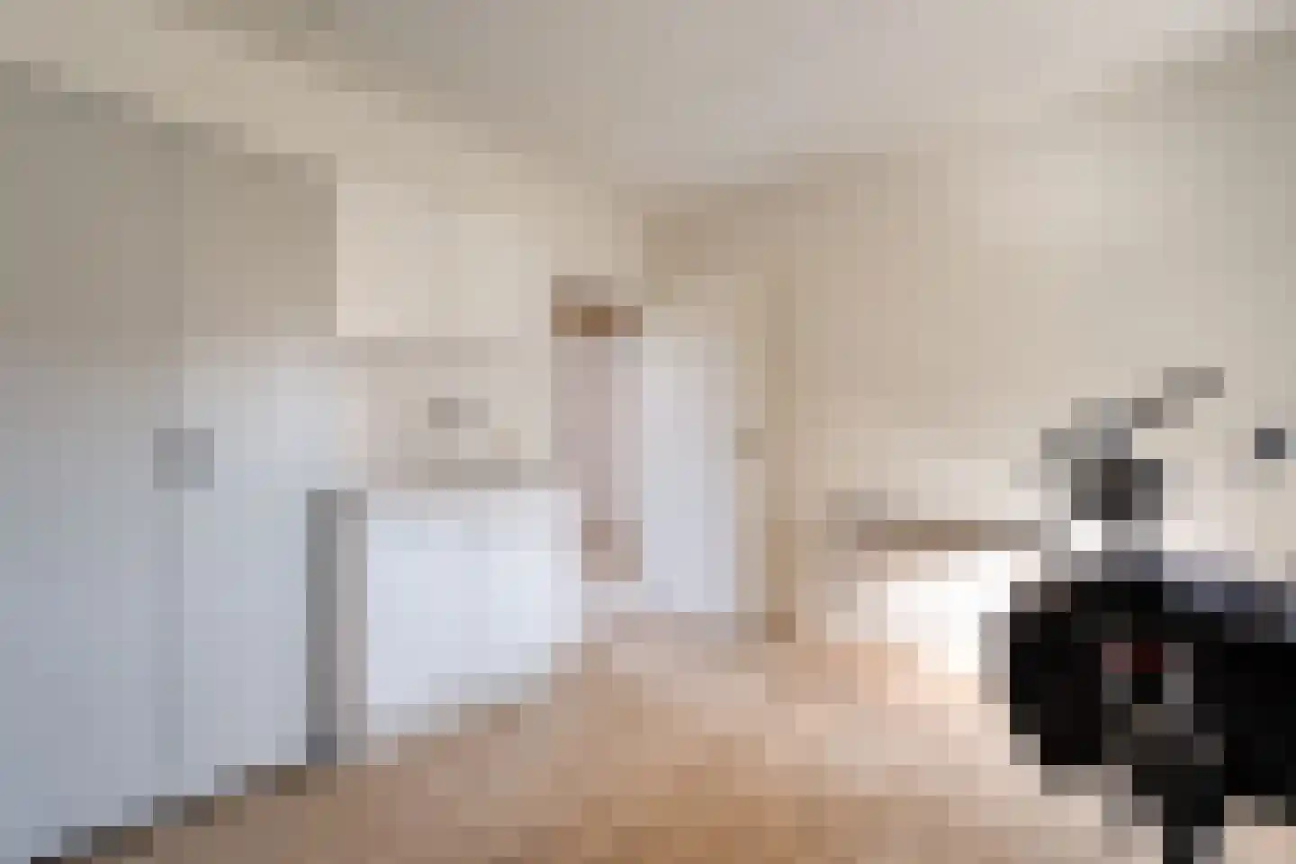 De Dijnsel 49 Albergen thumbnail 16