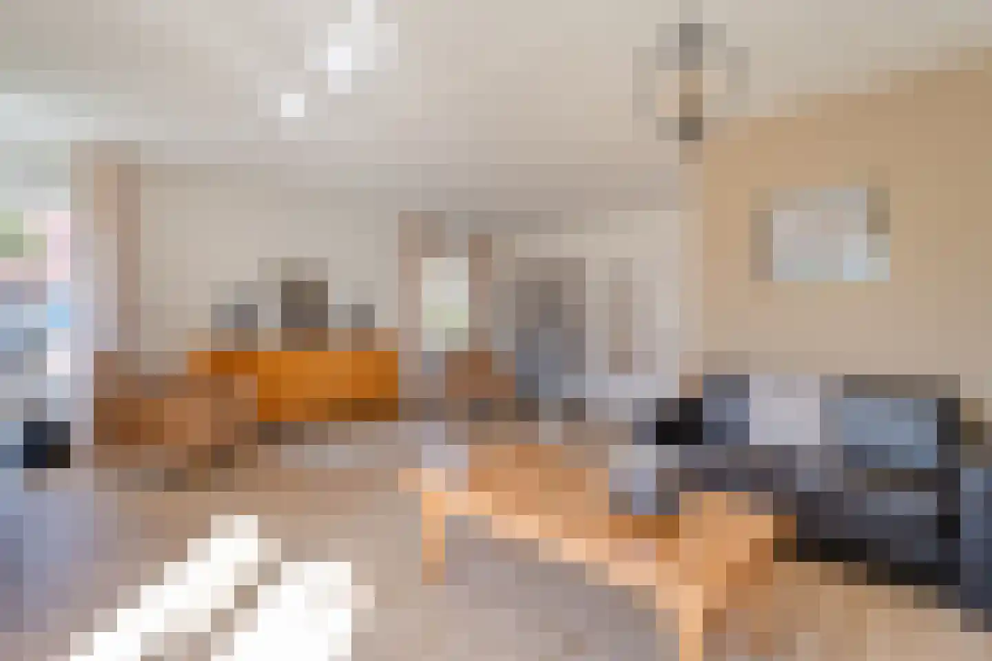 De Dijnsel 49 Albergen foto 2
