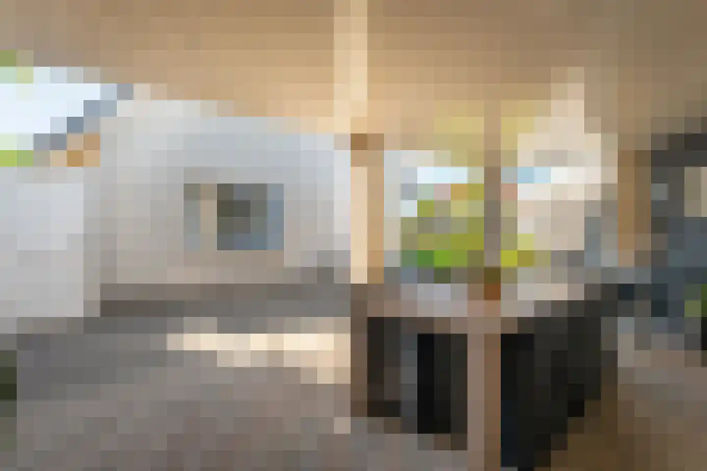 De Dijnsel 49 Albergen thumbnail 25