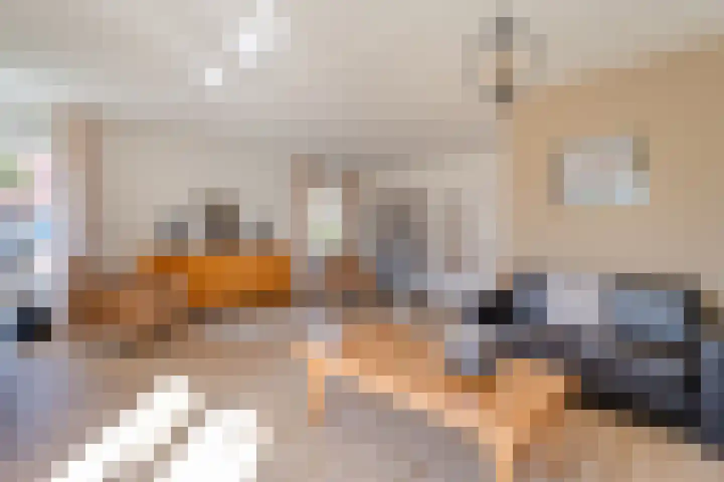 De Dijnsel 49 Albergen foto 3