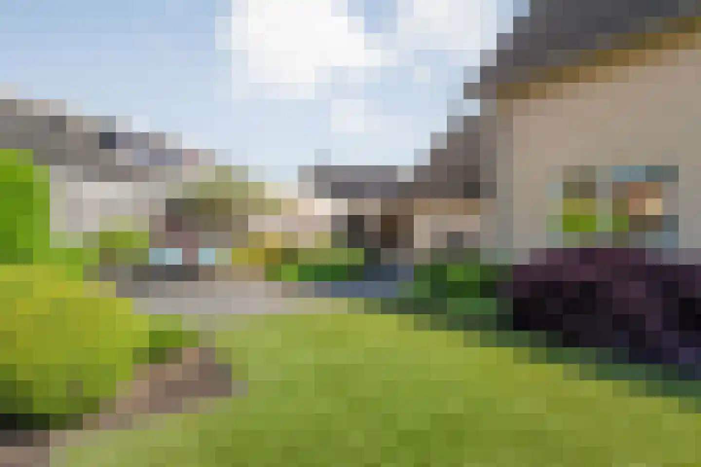De Dijnsel 49 Albergen foto 3