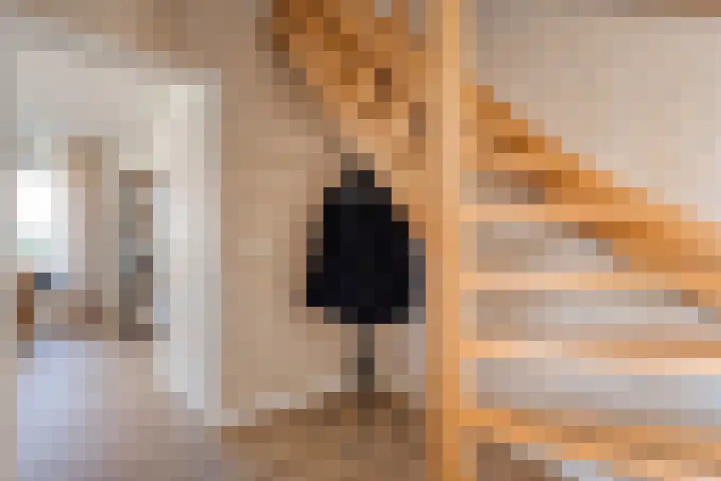 De Dijnsel 49 Albergen thumbnail 6