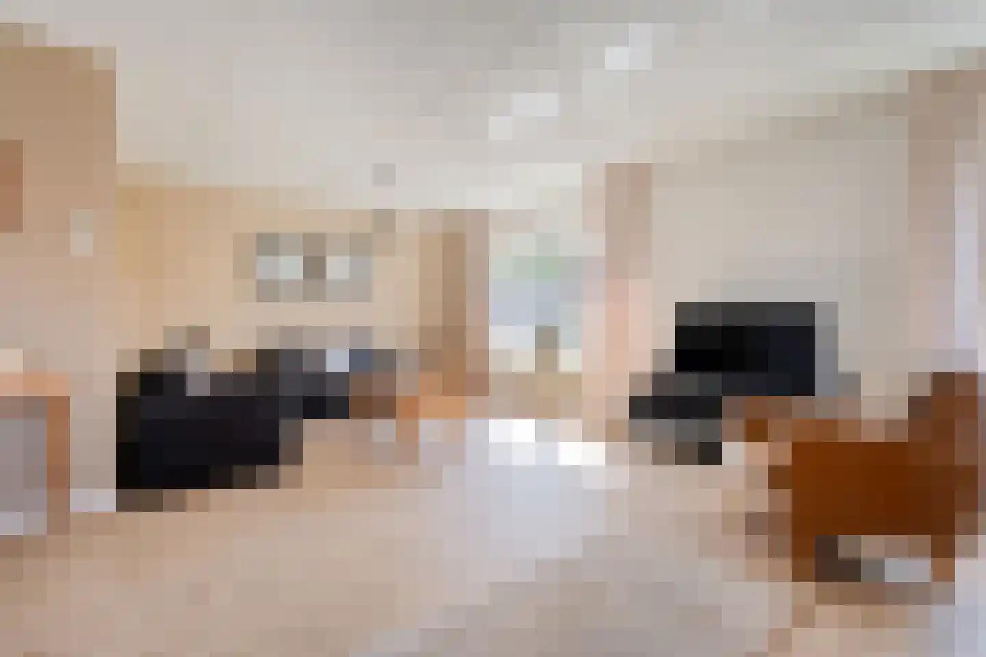 De Dijnsel 49 Albergen thumbnail 8