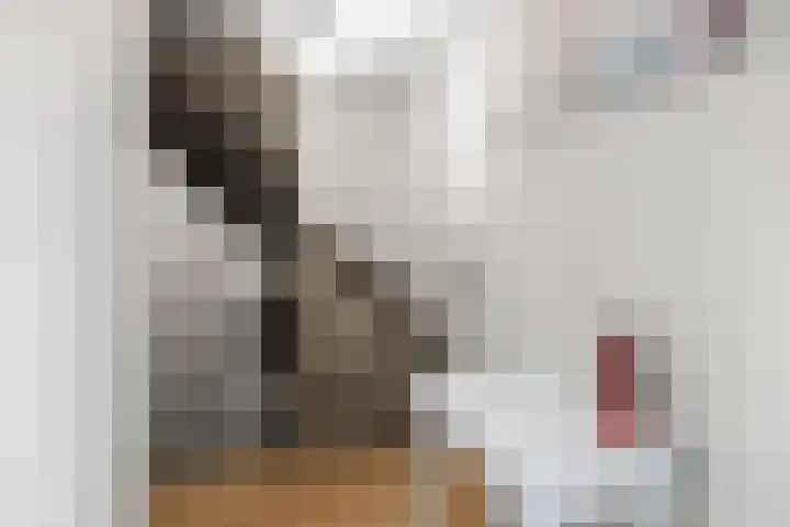De Diken 4 Bolsward thumbnail 26