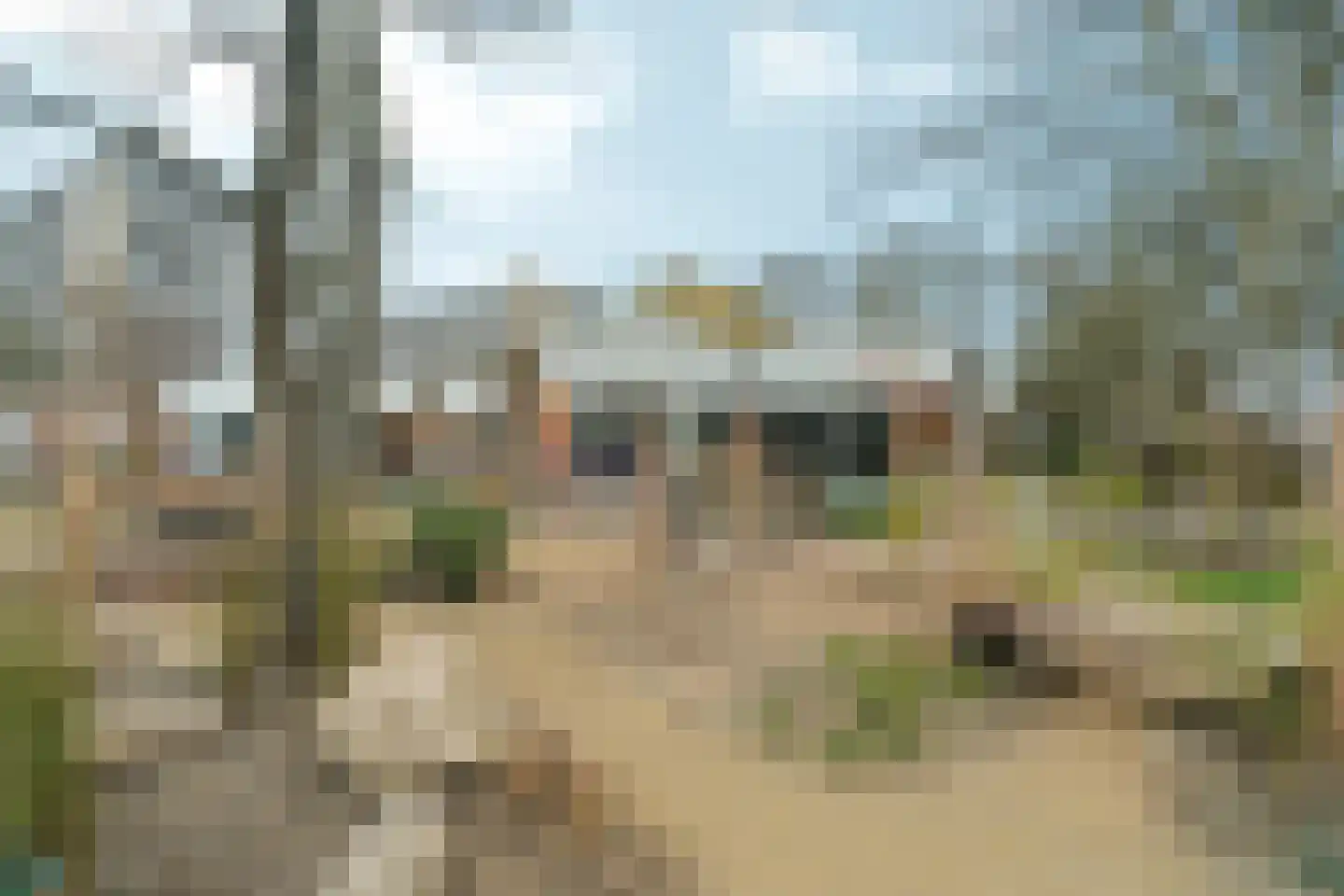 De Diken 4 Bolsward thumbnail 41