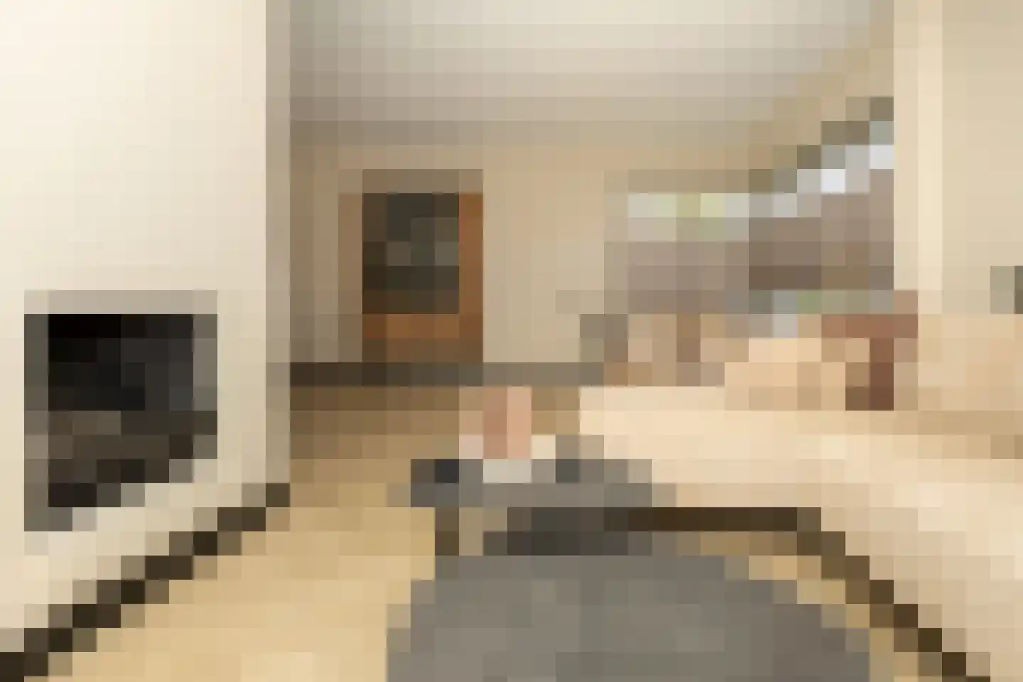 de Dinkel 2 Hattem thumbnail 13