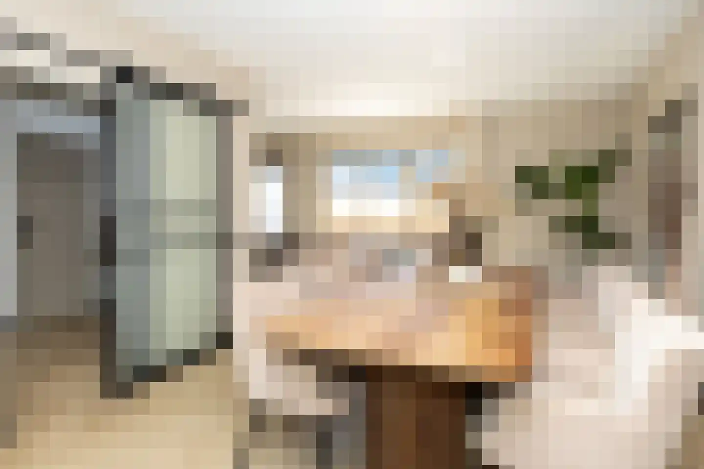 de Dinkel 2 Hattem thumbnail 15