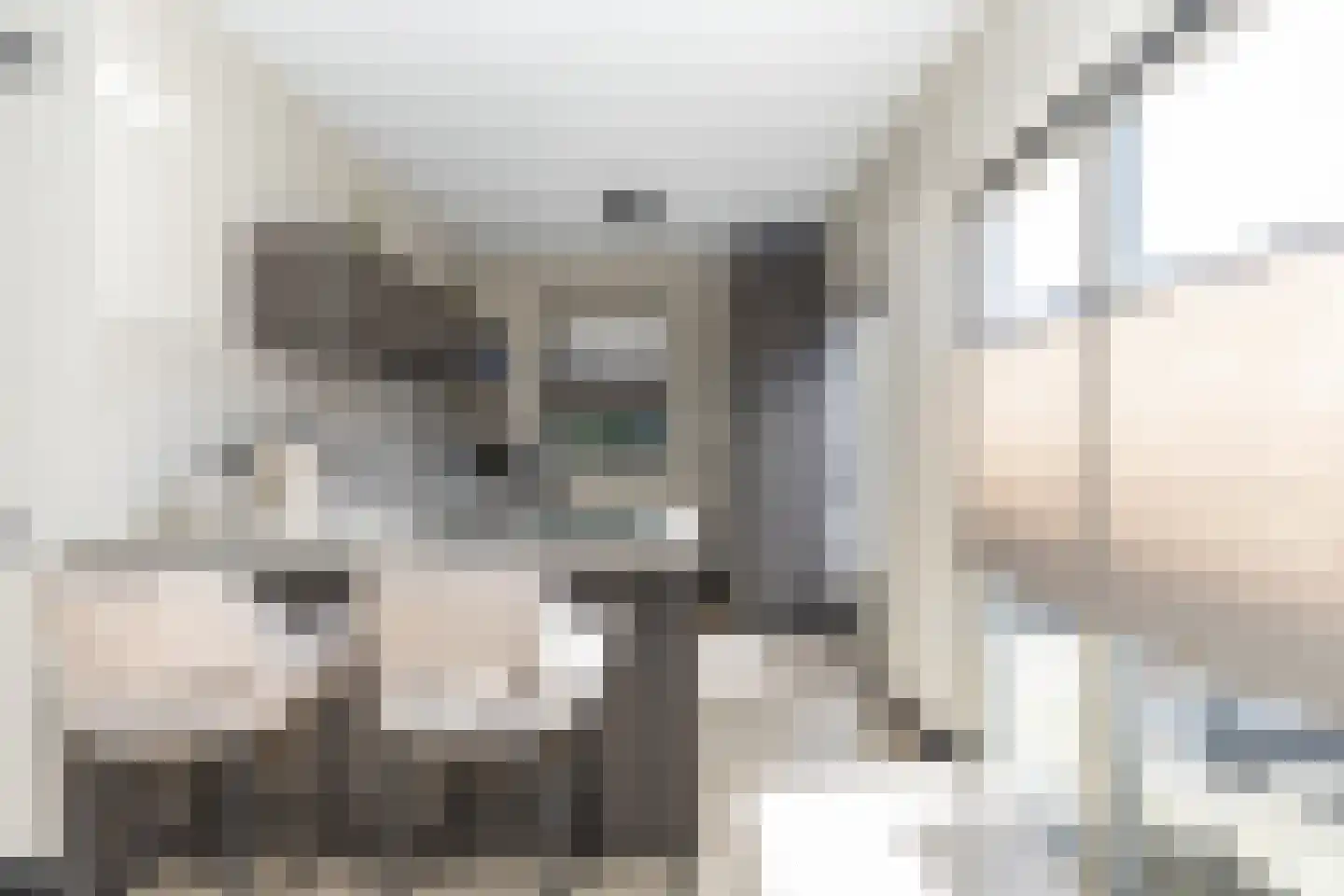 de Dinkel 2 Hattem thumbnail 17