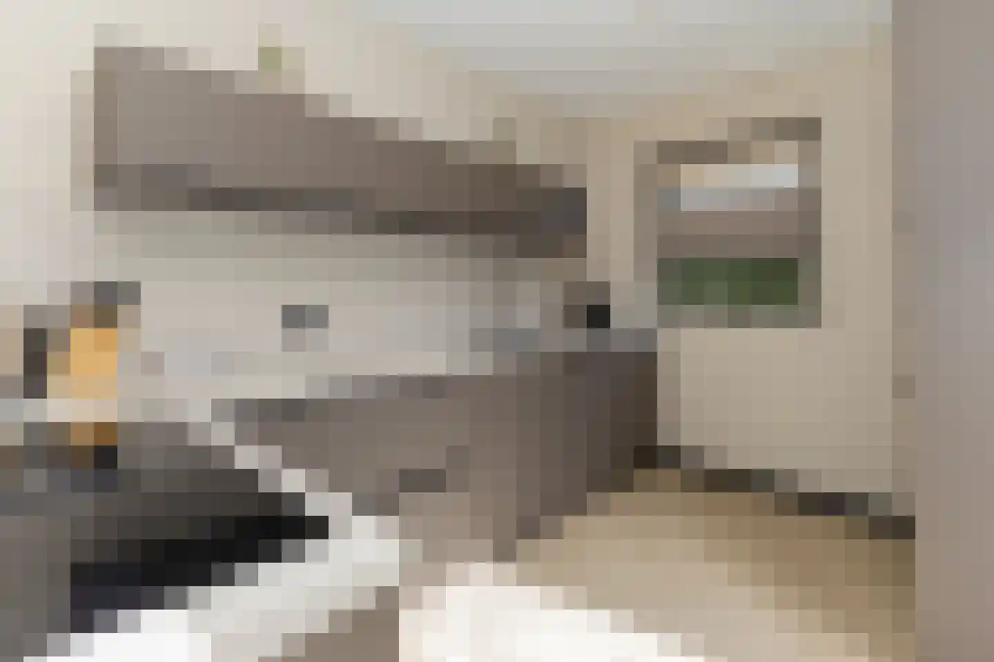 de Dinkel 2 Hattem thumbnail 18