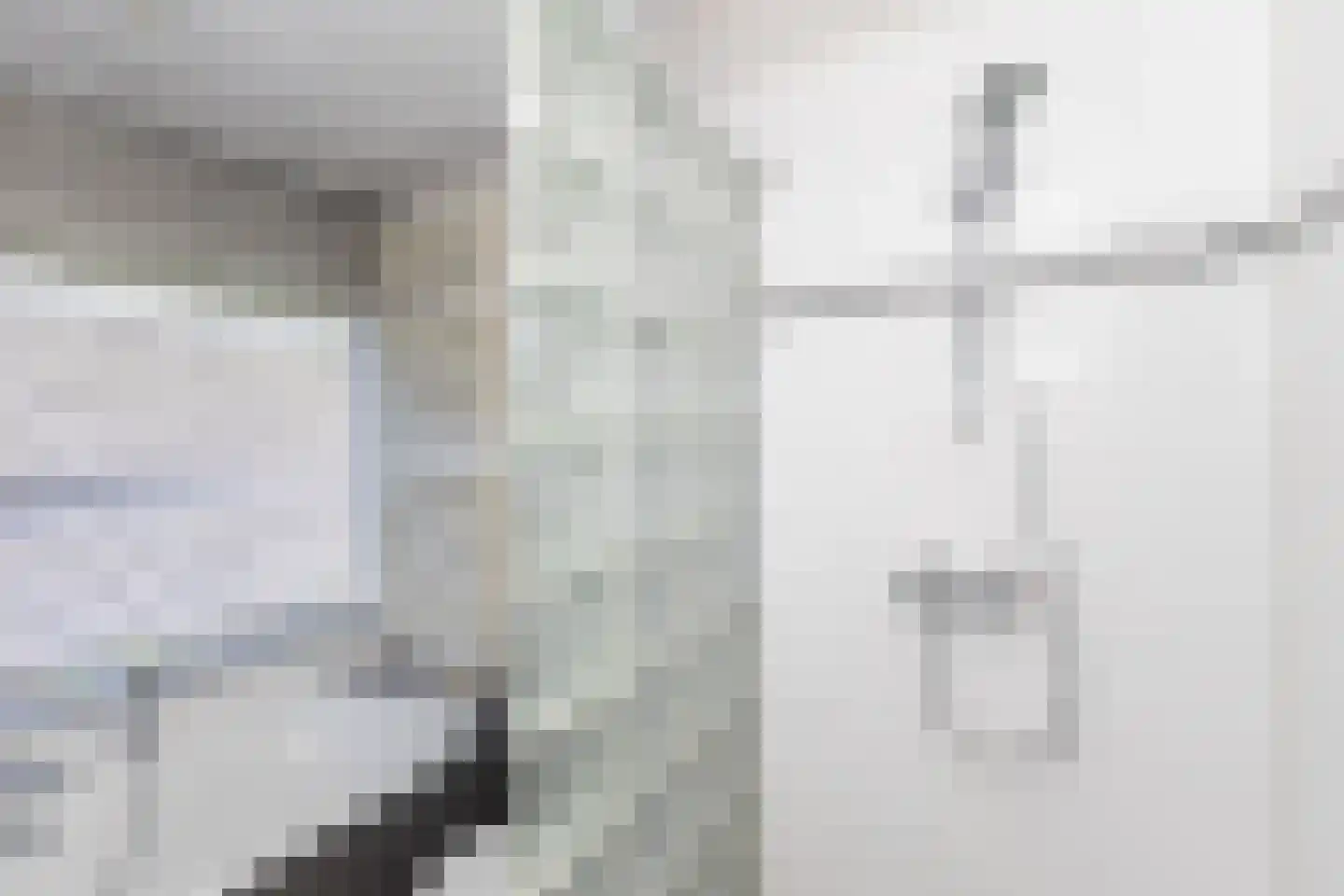 de Dinkel 2 Hattem thumbnail 32