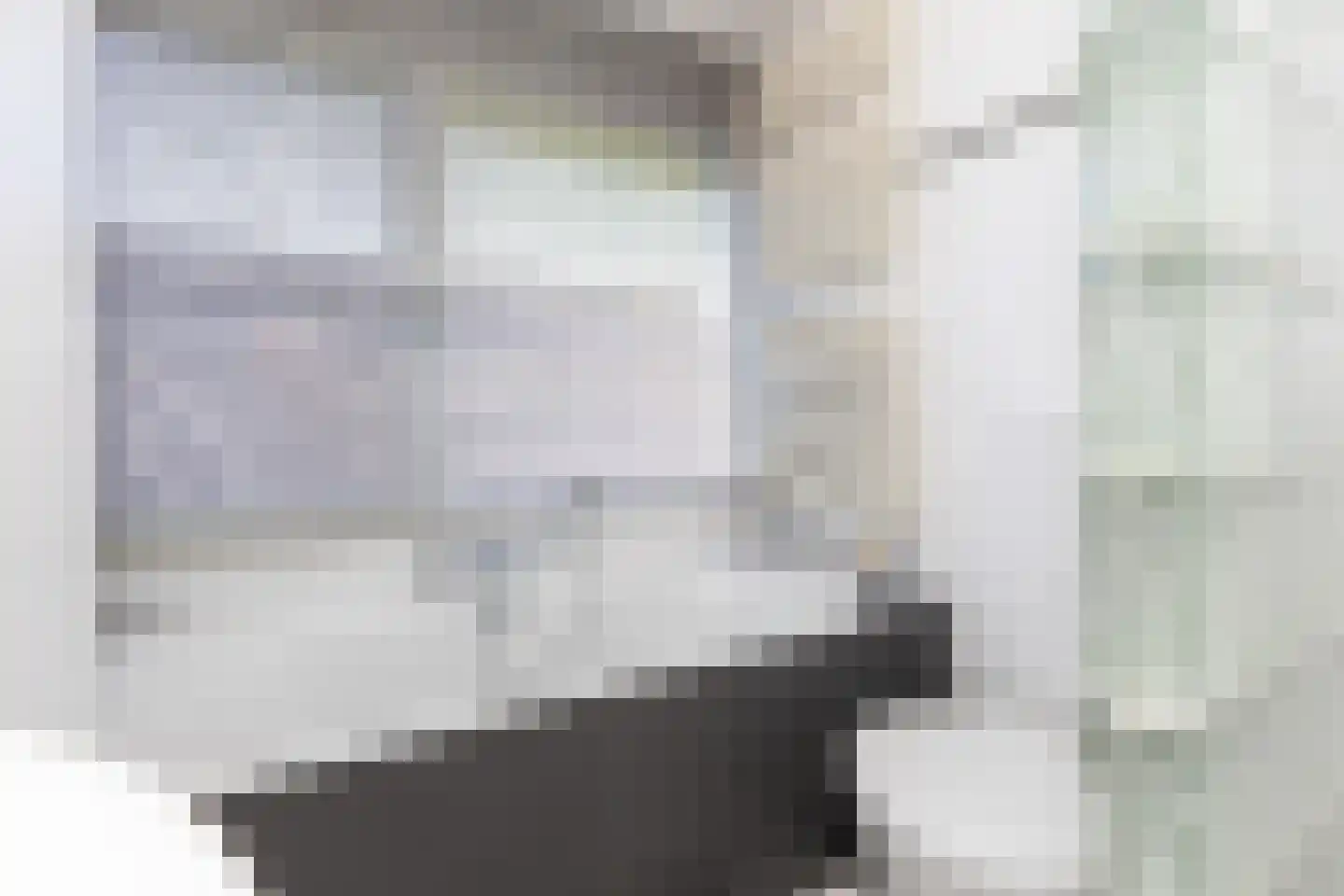 de Dinkel 2 Hattem thumbnail 33
