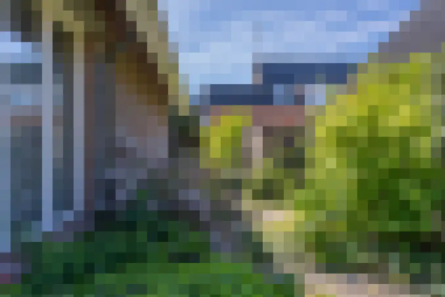 de Dinkel 2 Hattem thumbnail 39