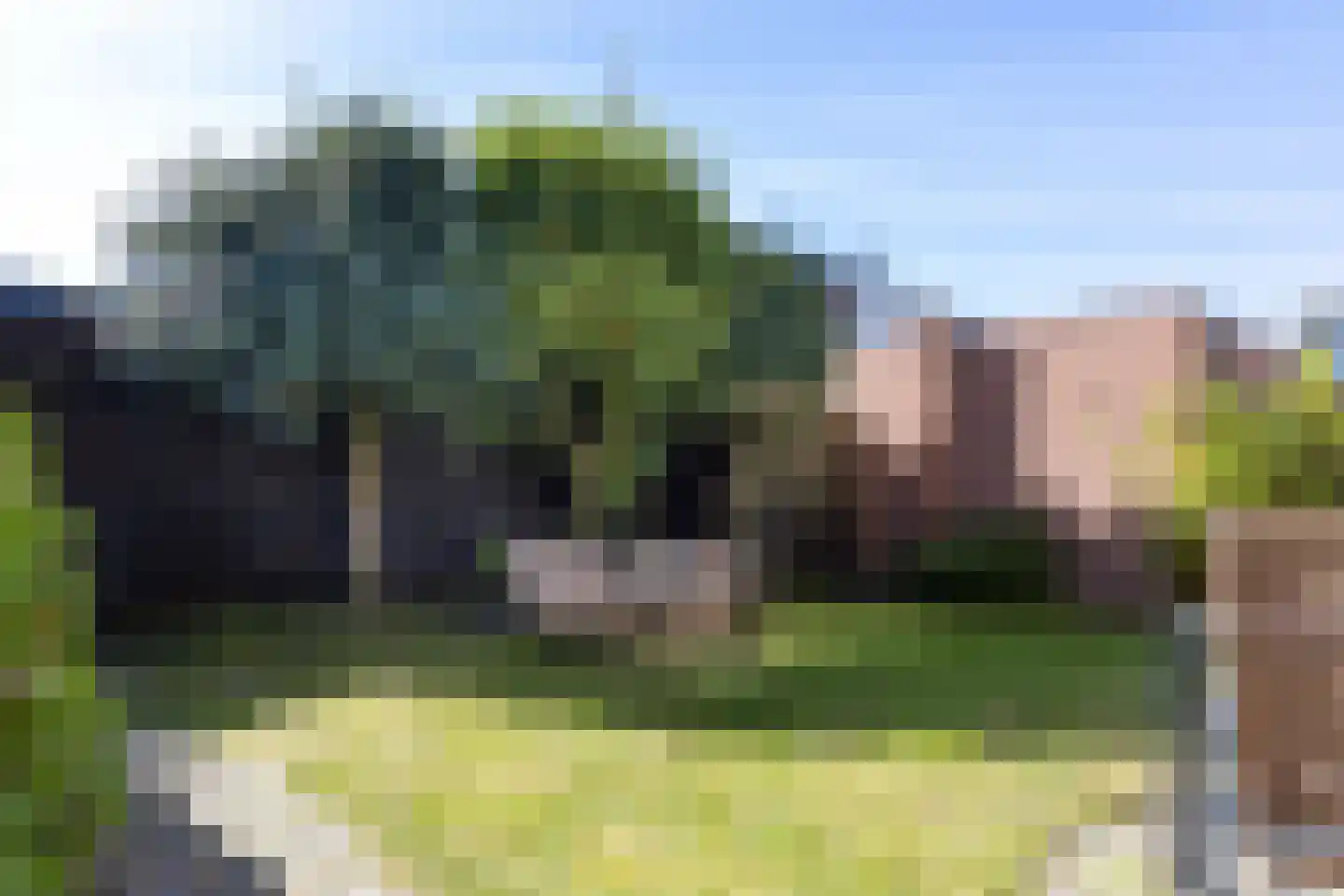 de Dinkel 2 Hattem thumbnail 40