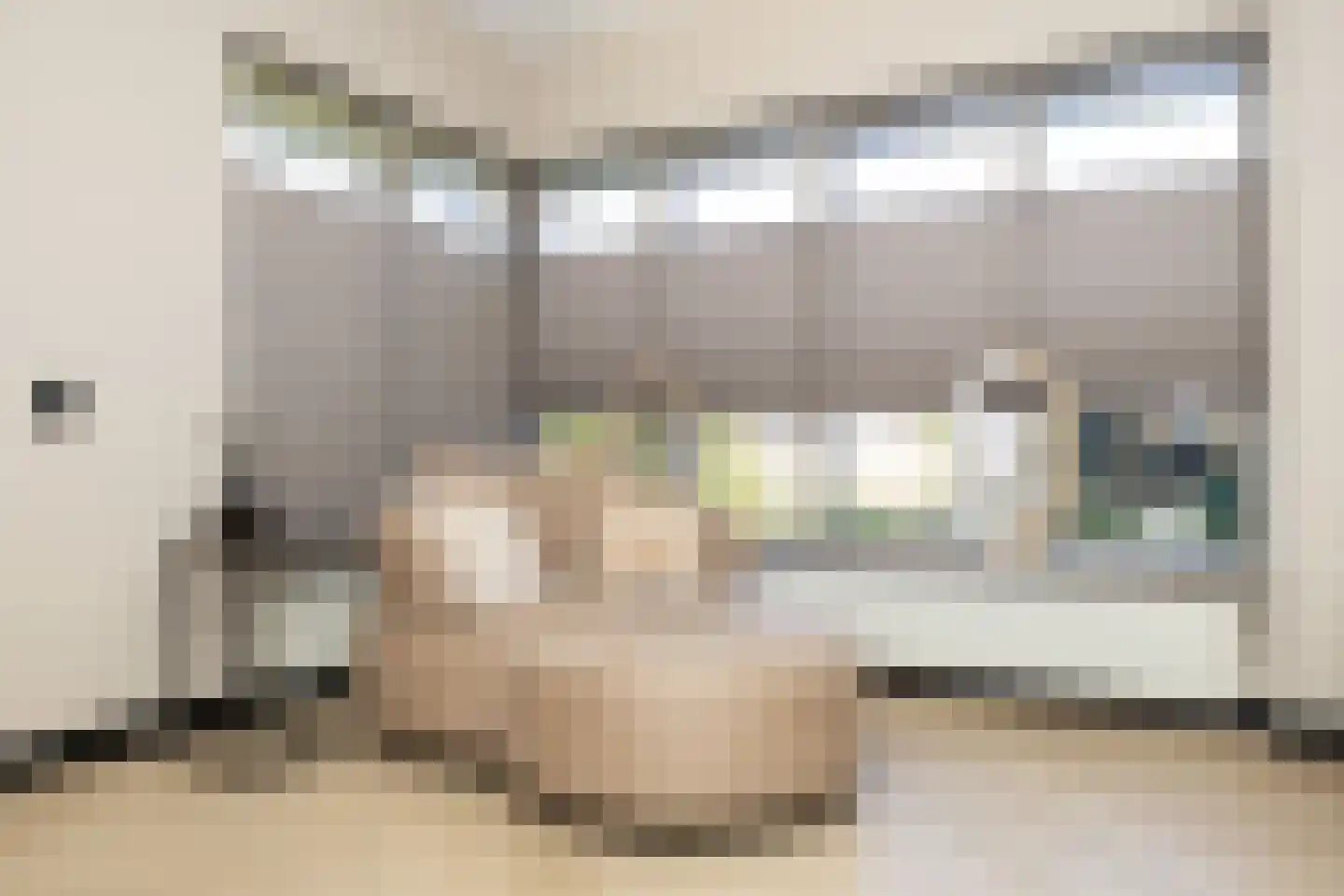 de Dinkel 2 Hattem thumbnail 9