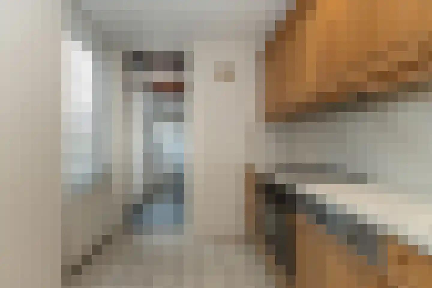 de Dinkel 51 Hattem thumbnail 10