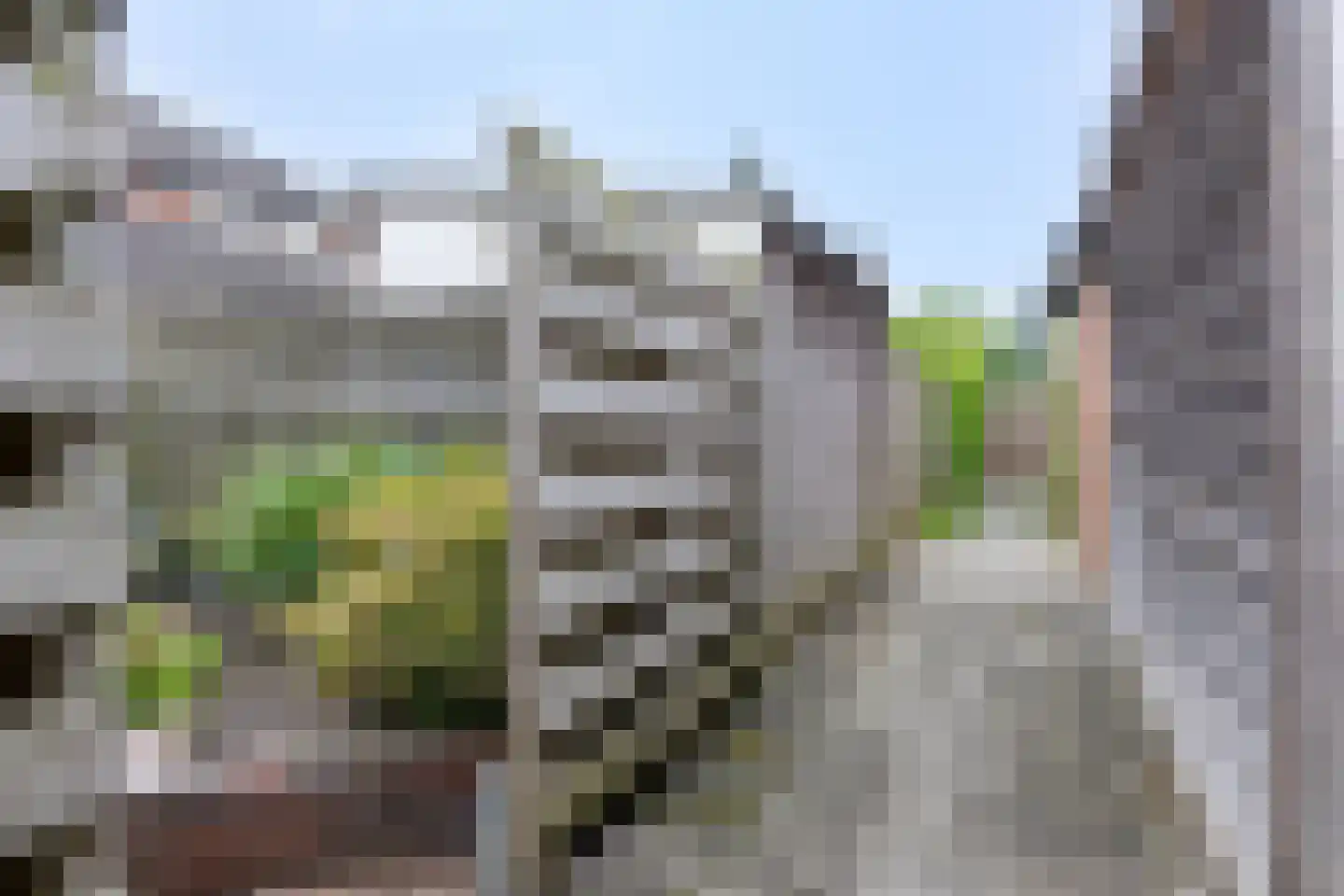 de Dinkel 51 Hattem thumbnail 26