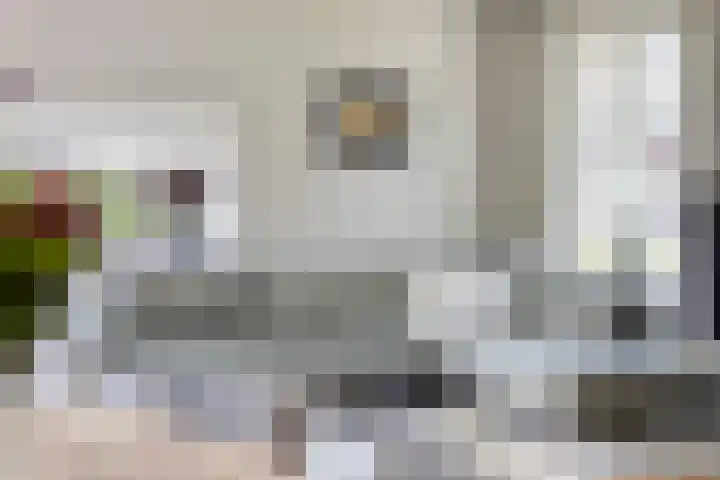 de Dinkel 7 Delden thumbnail 12